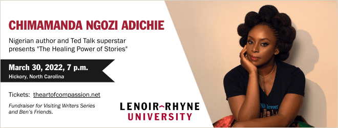 Chimamanda Ngozi Adichie talk