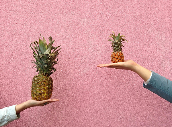 two hands hold pineapples of different sizes two hands hold pineapples of different sizes