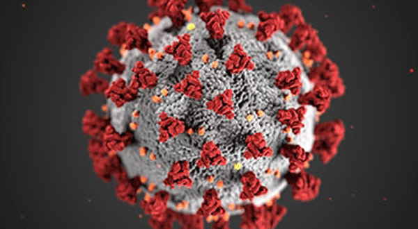 illustration of COVID-19 virus